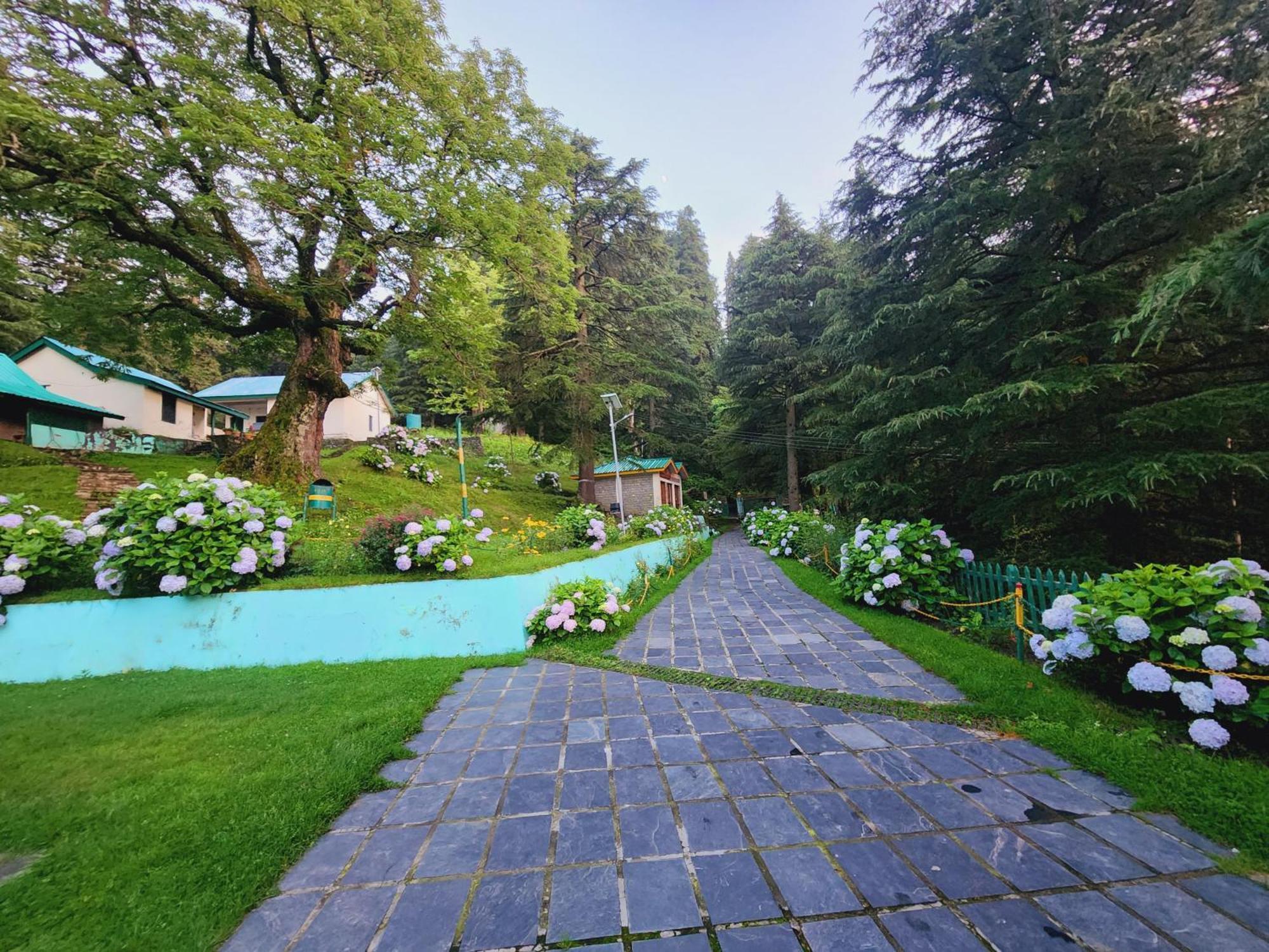 Forest Vibes Kalatop-Rooms And Restaurant Далхаузи Екстериор снимка