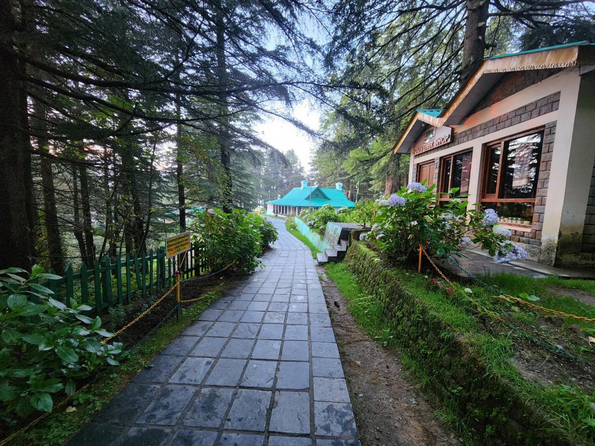 Forest Vibes Kalatop-Rooms And Restaurant Далхаузи Екстериор снимка
