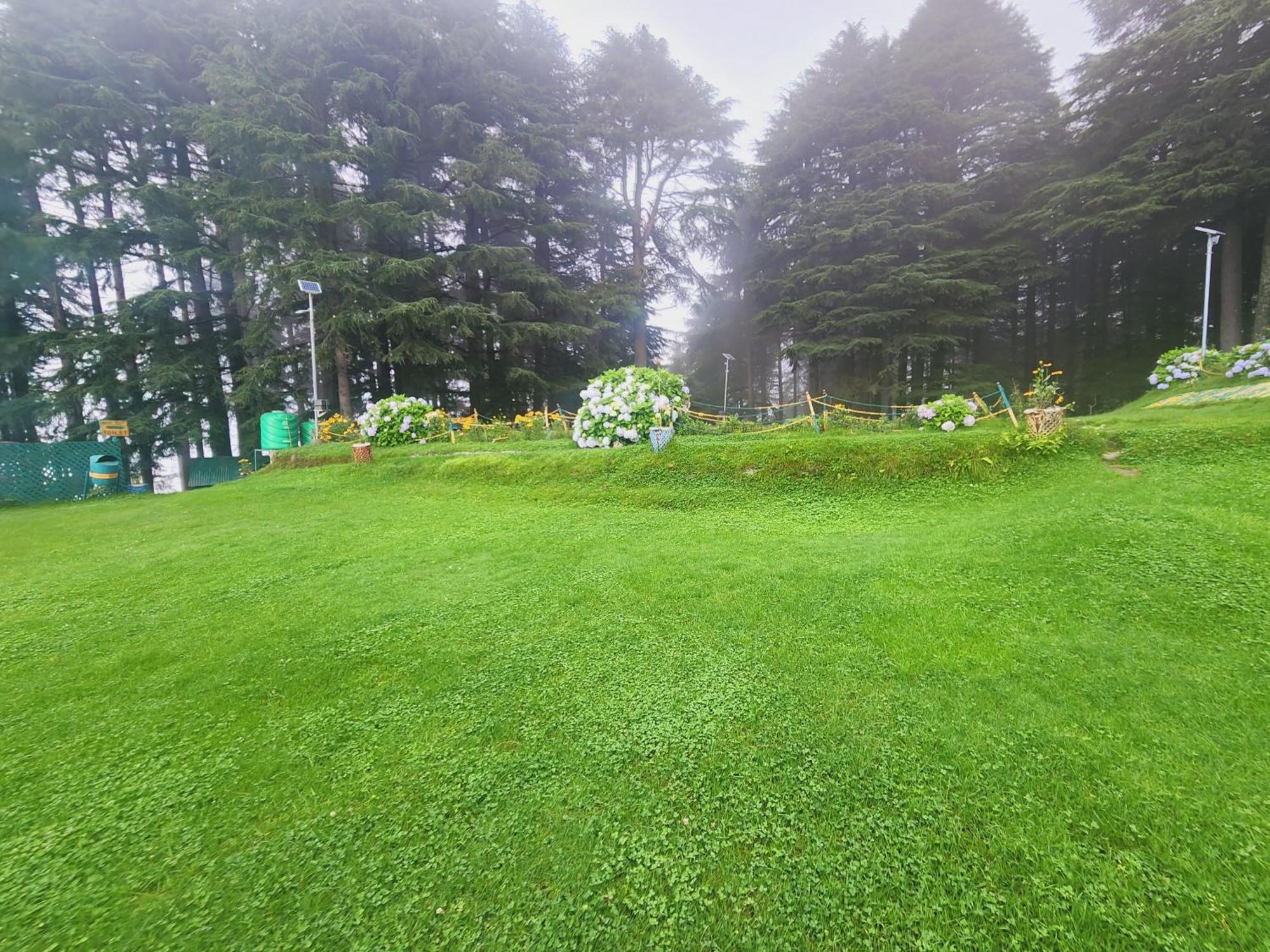 Forest Vibes Kalatop-Rooms And Restaurant Далхаузи Екстериор снимка