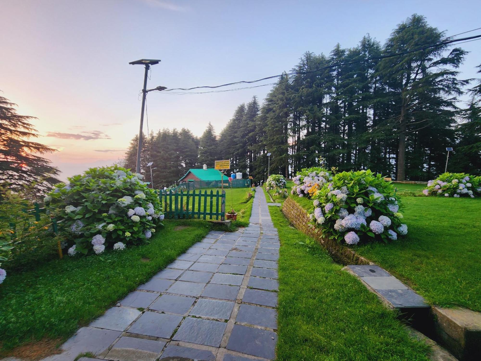 Forest Vibes Kalatop-Rooms And Restaurant Далхаузи Екстериор снимка