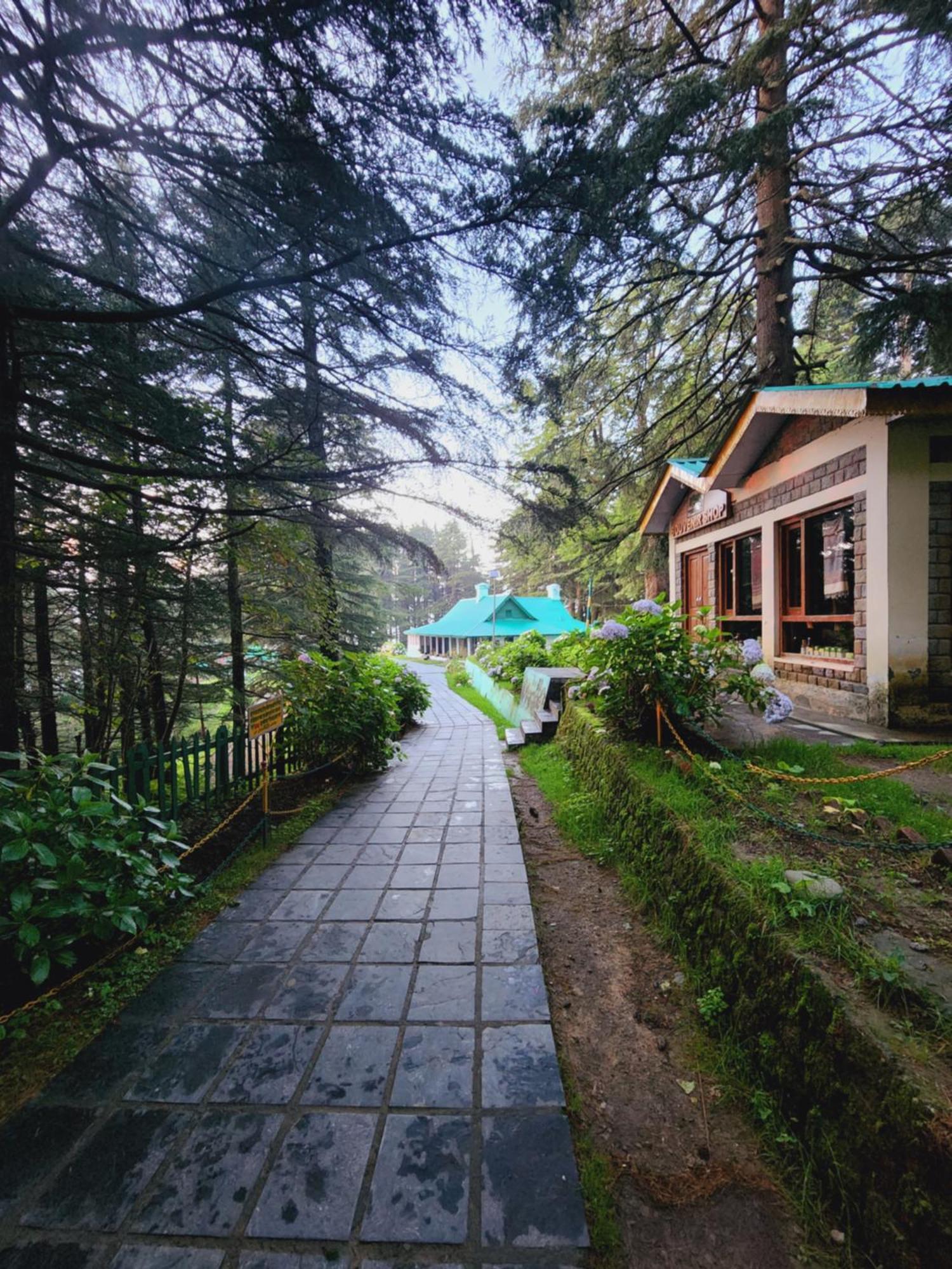 Forest Vibes Kalatop-Rooms And Restaurant Далхаузи Екстериор снимка