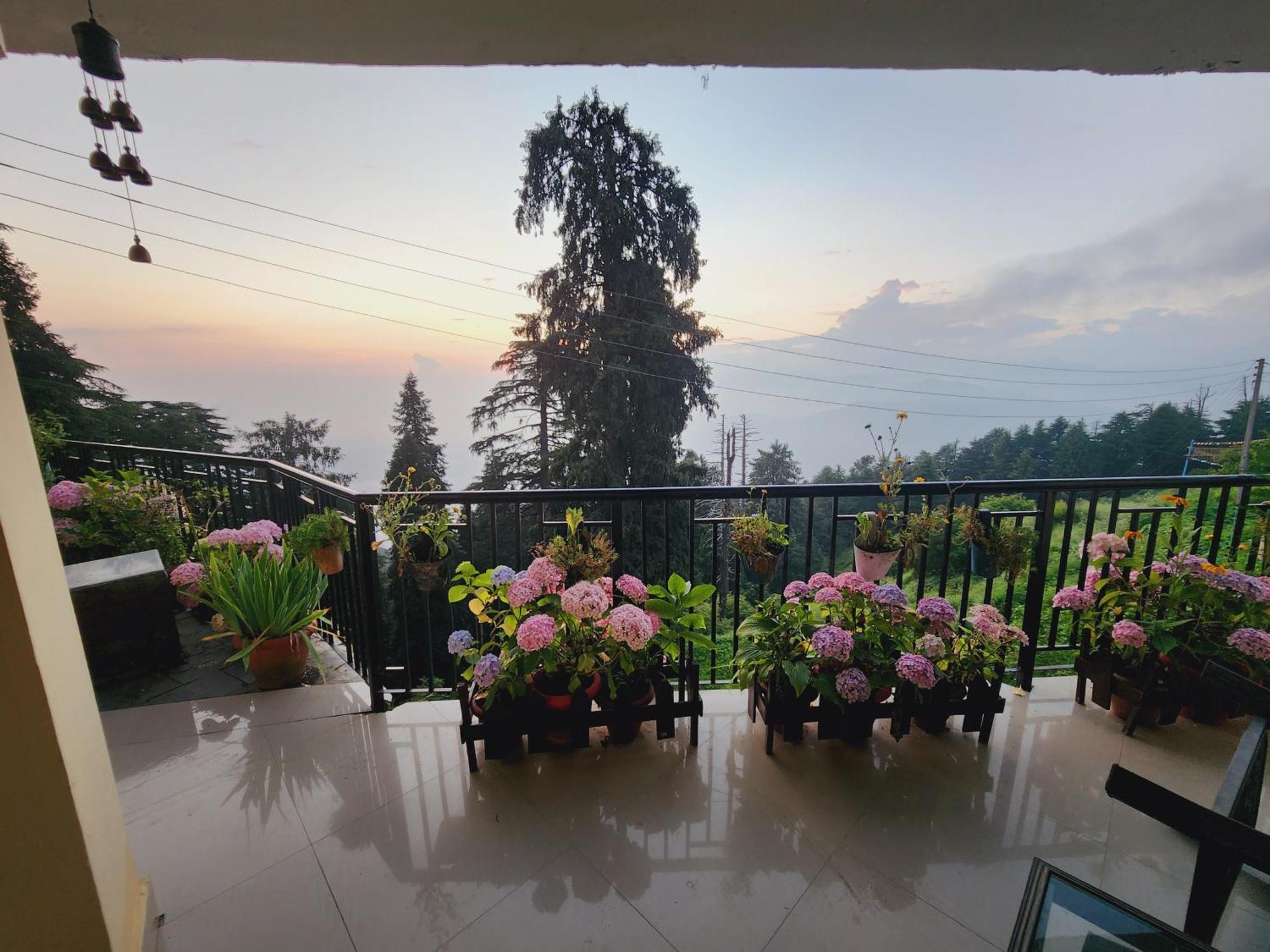 Forest Vibes Kalatop-Rooms And Restaurant Далхаузи Екстериор снимка